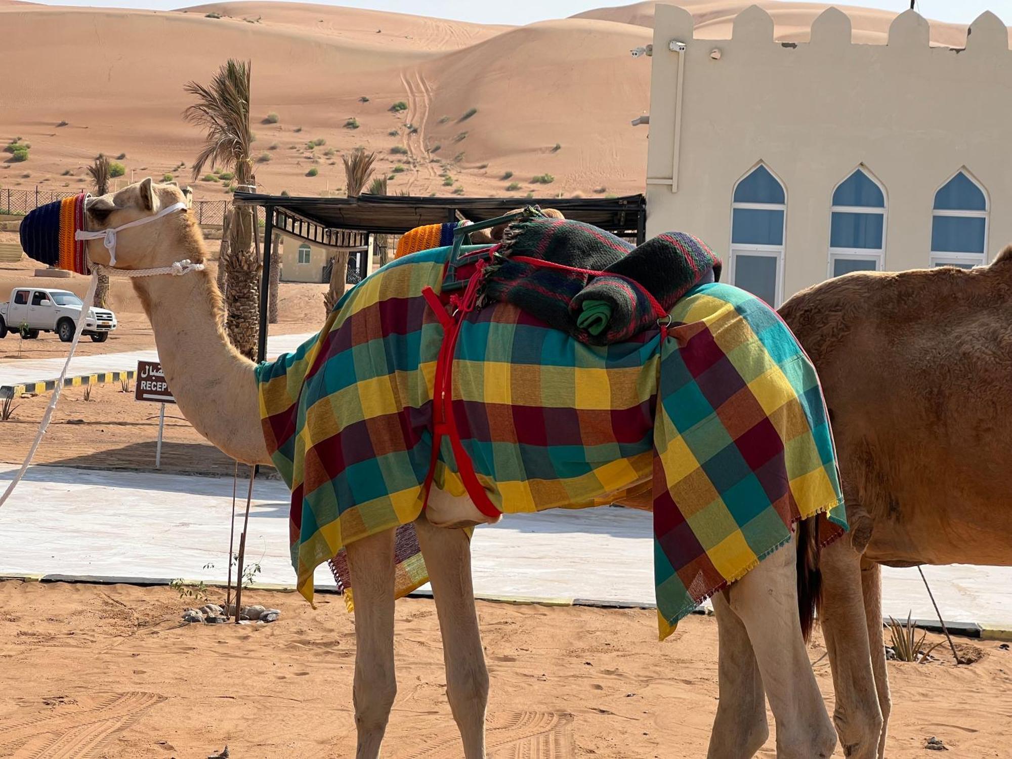 Acampamento Al Salam Desert Camp *